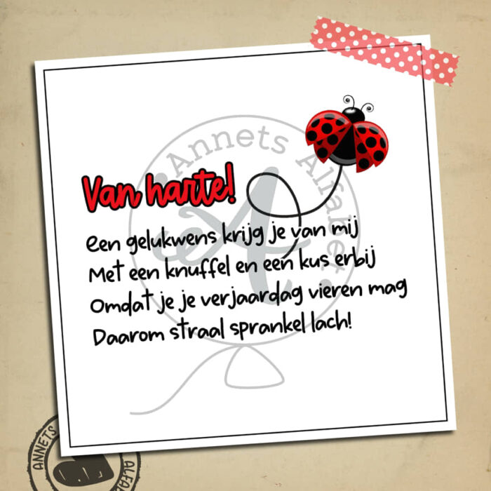 PLAATJES Gedichtjes Verjaardag Ladybug 11 Gelukwens