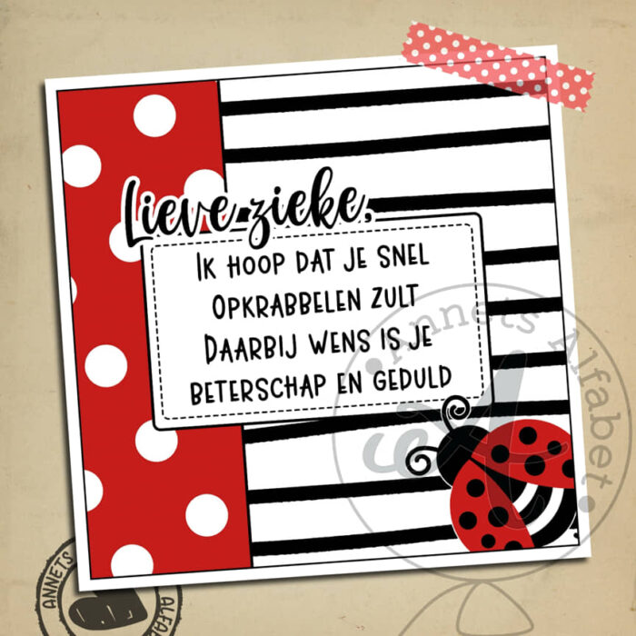 PLAATJES Rijmpjes Beterschap Ladybug 08 Ik hoop