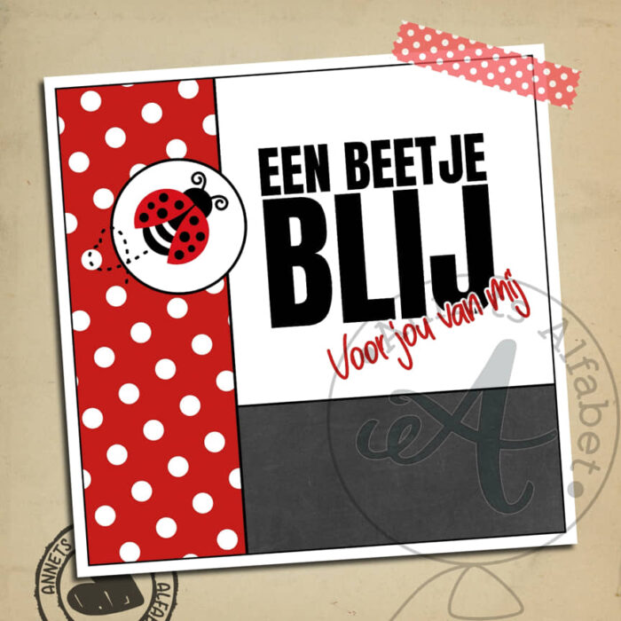 PLAATJES Rijmpjes Beetje blij Ladybug 11