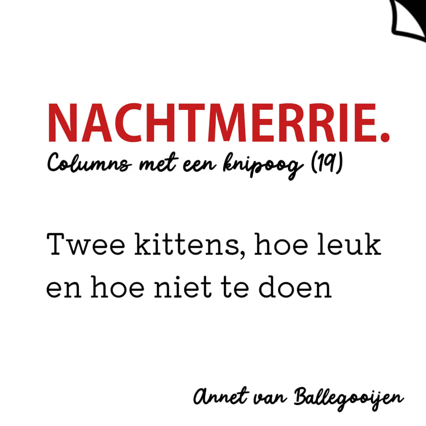 Columns met een knipoog 19 - Nachtmerrie - Annet van Ballegooijen