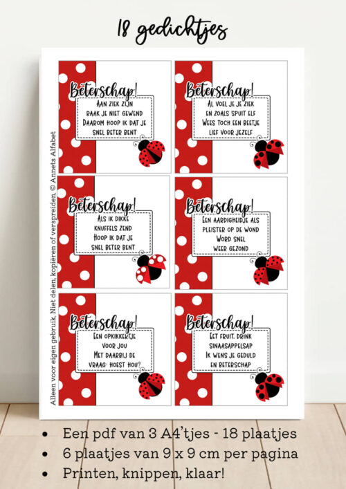 PRINTABLES Rijmpjes Beterschap Serie Ladybug