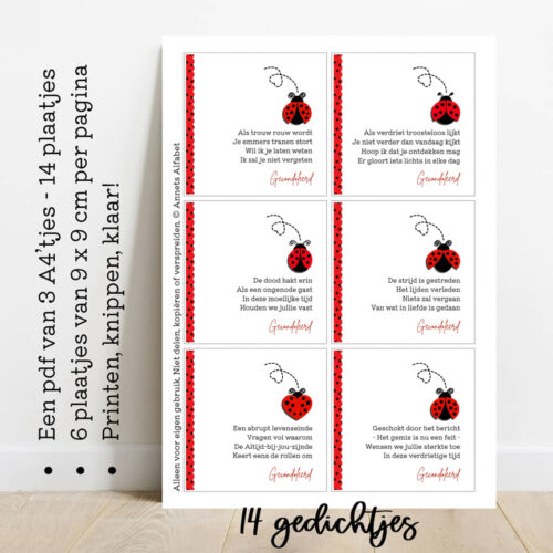 PLAATJES Gedichtjes Serie Rouw Ladybug