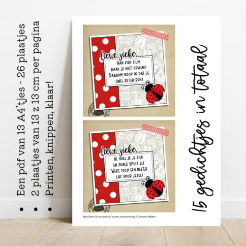 PLAATJES Rijmpjes Serie Beterschap Ladybug mockup