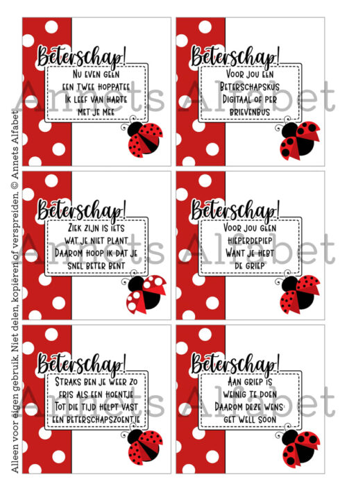 PRINTABLES Rijmpjes Beterschap Ladybug 3
