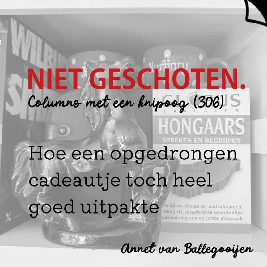 Columns met een knipoog 306 - Niet geschoten - Annet van Ballegooijen