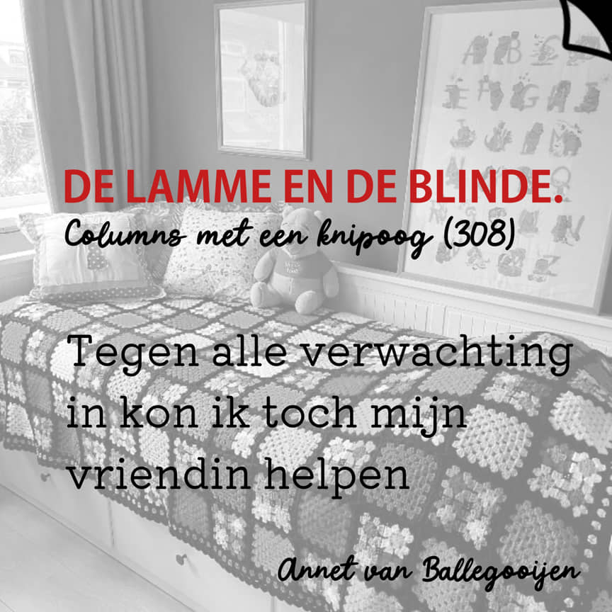 Columns met een knipoog 308 - De lamme en de blinde - - Annet van Ballegooijen
