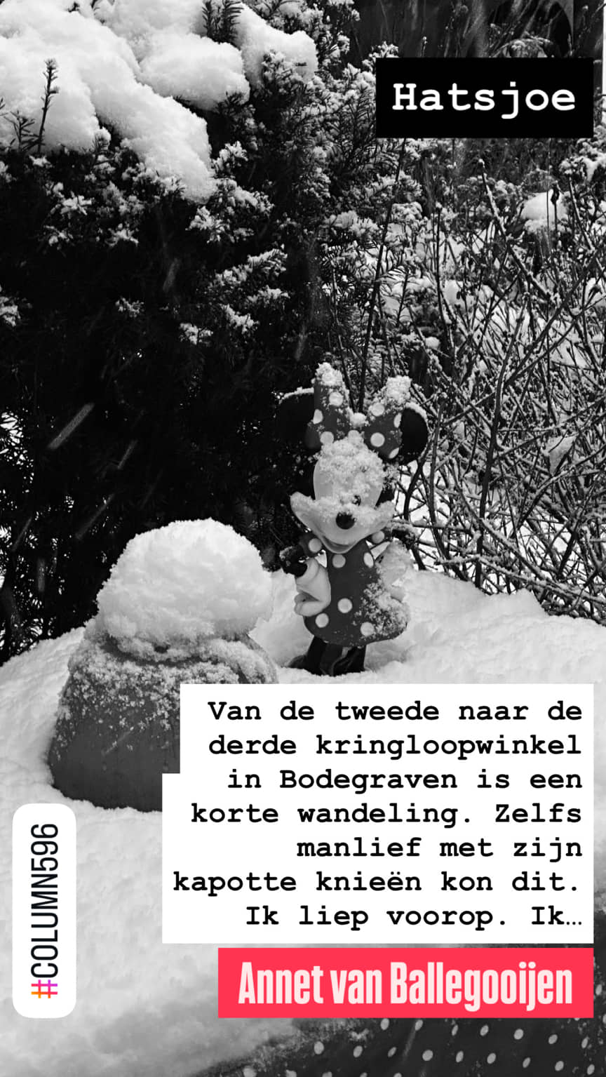 Hatsjoe - column 596