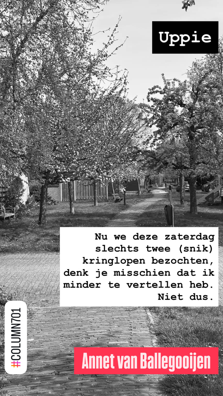 Columns met een knippog 701 - Uppie - Annets Alfabet