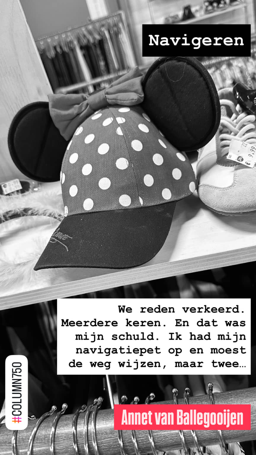Columns met een knipoog 750 - Navigeren - Annet van Ballegooijen